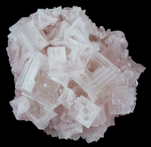 Pink Halite Crystal Plate - Trona, California #61066